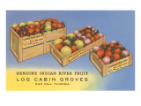 Fruit in Crates  Oak Hill  Florida