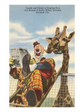 Giraffe and Clown  Sarasota  Florida