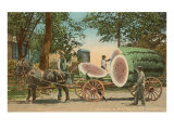 Giant Watermelon on Cart  Florida