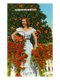 Southern Belle  Oranges  Florida