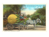 Giant Grapefruit on Cart  Florida
