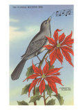 Florida Mocking Bird  Poinsettias