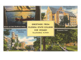 Greetings from Florida State  Tallahassee  Florida