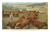 Stockyards  Chicago  Illinois