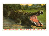 Seasons Greetings from Sunny Florida  Alligator