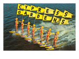 Water Skiers  Cypress Gardens  Florida