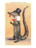Alligator in Top Hat