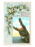 Christmas Greetings from Florida  Alligator