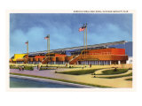 Agricultural Building  Chicago World's Fair