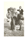 Circus Elephant and Trainer  1915