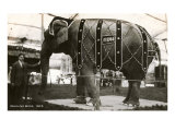 Circus Elephant