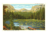 Lily Pond  Wild Basin  Colorado