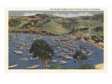 Isthmus Harbor  Catalina  California