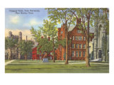 Yale University  New Haven  Connecticut
