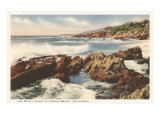 Rocky Coast  Laguna Beach  California