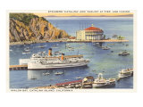 Steamers at Pier  Casino  Catalina  California