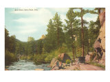 Auto Road  Estes Park  Colorado