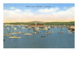Fishing Fleet  Monterey  California
