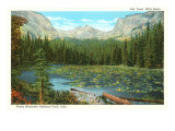 Lily Pond  Wild Basin  Colorado