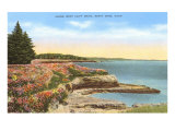 Along West Cliff Drive  Santa Cruz  California