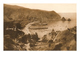 Avalon Harbor  Catalina  California