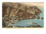 Avalon Bay  Catalina  California