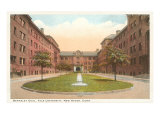 Berkeley Oval  Yale  New Haven  Connecticut