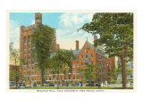 Bingham Hall  Yale  New Haven  Connecticut