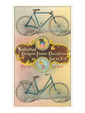 National Cushion Frame Chainless Bicycle
