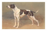 Pointer