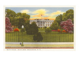 South Lawn  White House  Washington DC