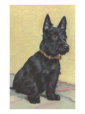 Scottie Dog