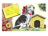 Sorry I Haven't Written Cartoon Spaniel