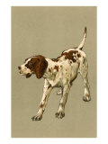 Pointer