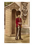 Guard at Buckingham Palace  London  England