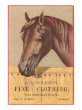 Advertisement with Horse