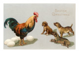 Easter Greetings  Rooster and Puppies