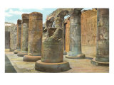 Carved Columns  Abydos  Egypt