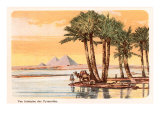 Pyramids from across the Nile  Palms  Camels  Egypt