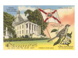 State Capitol  Mocking Bird  Flag  Florida