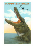 Happy Birthday from Florida  Alligator
