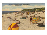 Beach  Sarasota  Florida
