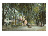St John's Avenue  Jacksonville  Florida