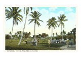 Golf Course  Palm Tees  Palm Beach  Florida