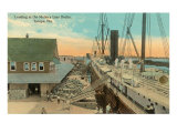 Mallory Line Docks  Tampa  Florida