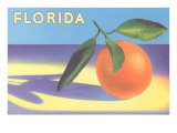 Florida Orange