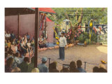 Macaws  Miami  Florida