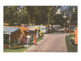 Trailer Park  Florida
