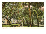 Magnolia Street  Daytona  Florida