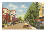 Worth Avenue  Palm Beach  Florida